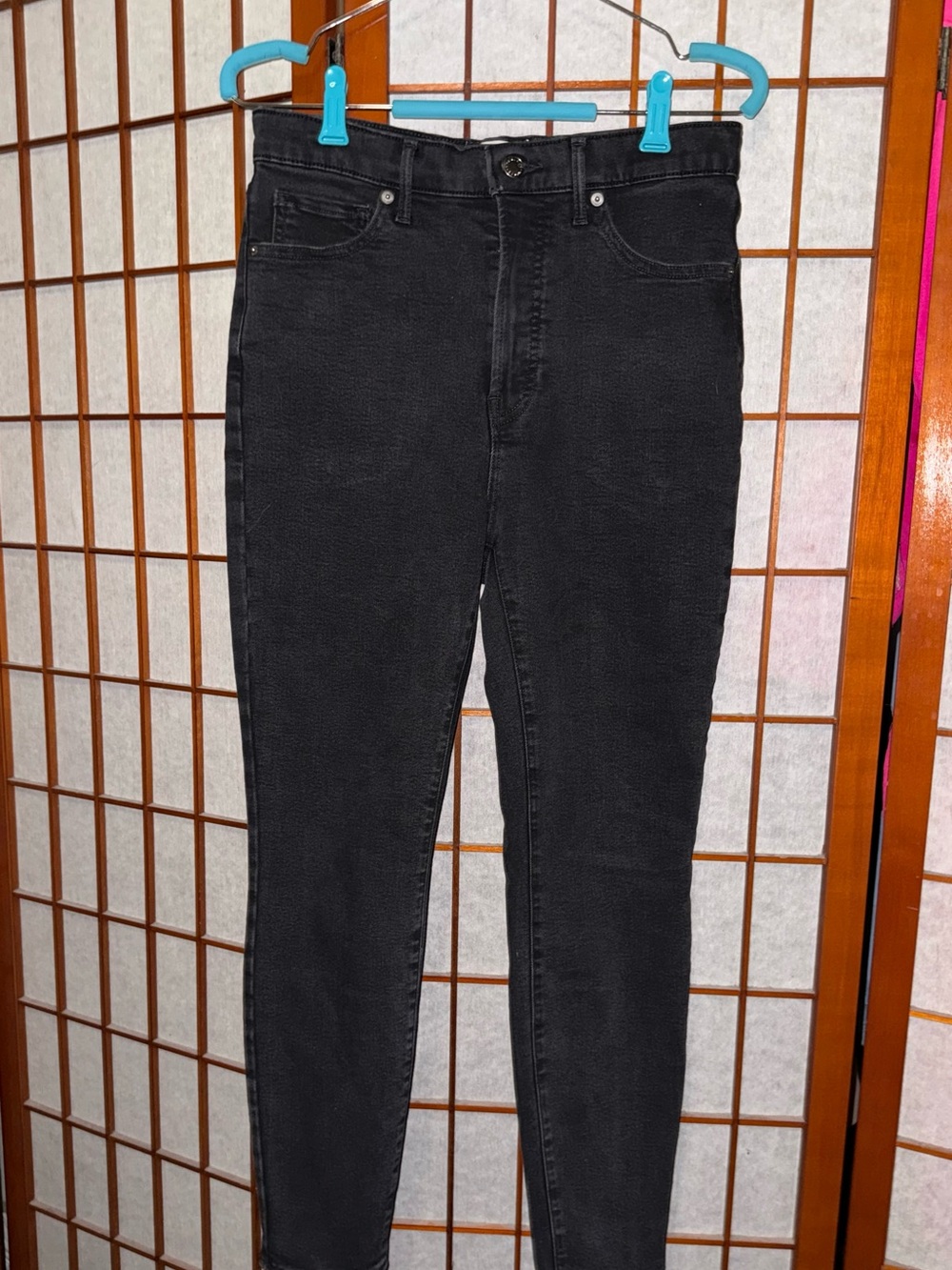 Everlane The Way-High Skinny Jean Black | Size 30 Ankle